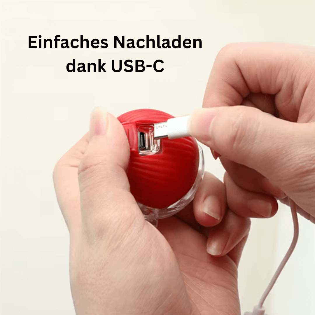 Tatzentornado – Der interaktive Katzenball