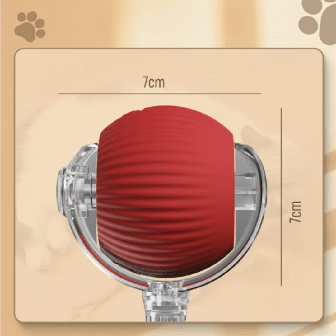 Tatzentornado – Der interaktive Katzenball