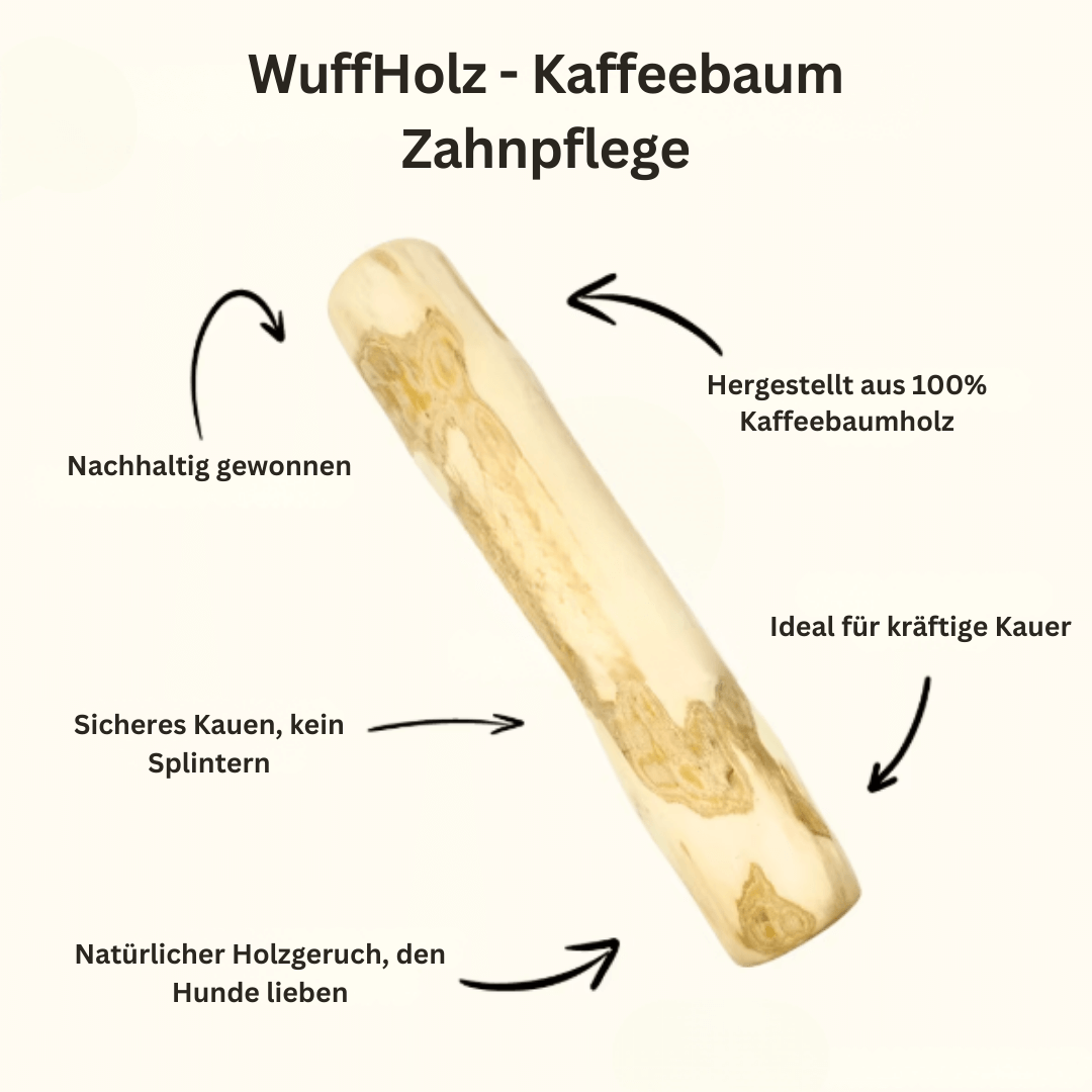 WuffHolz Glück – Natürlich starke Zähne