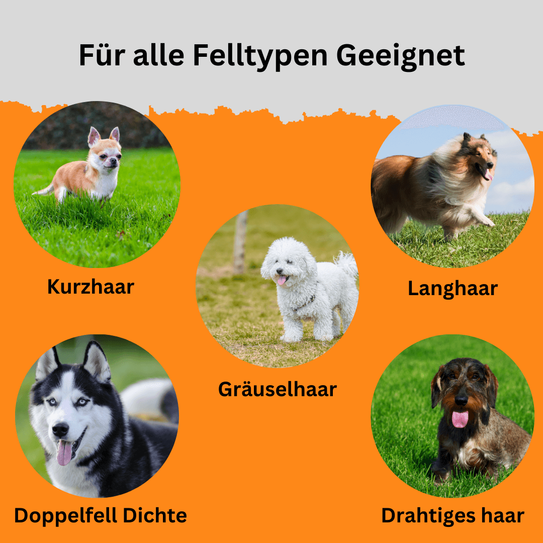 Wuffkammi – Die sanfte Lösung für glänzendes Fell