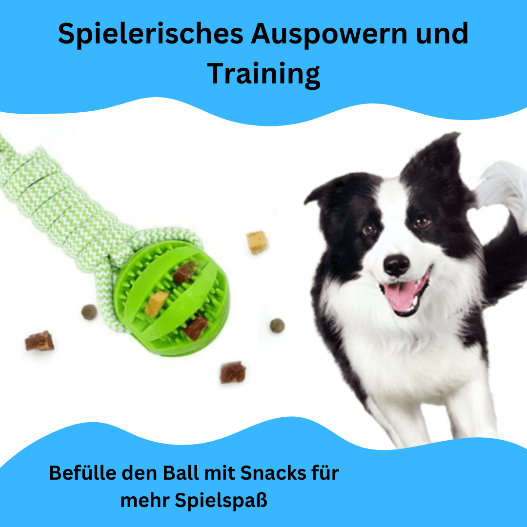 PowerZug – Interaktives Ziehen & Auspowern