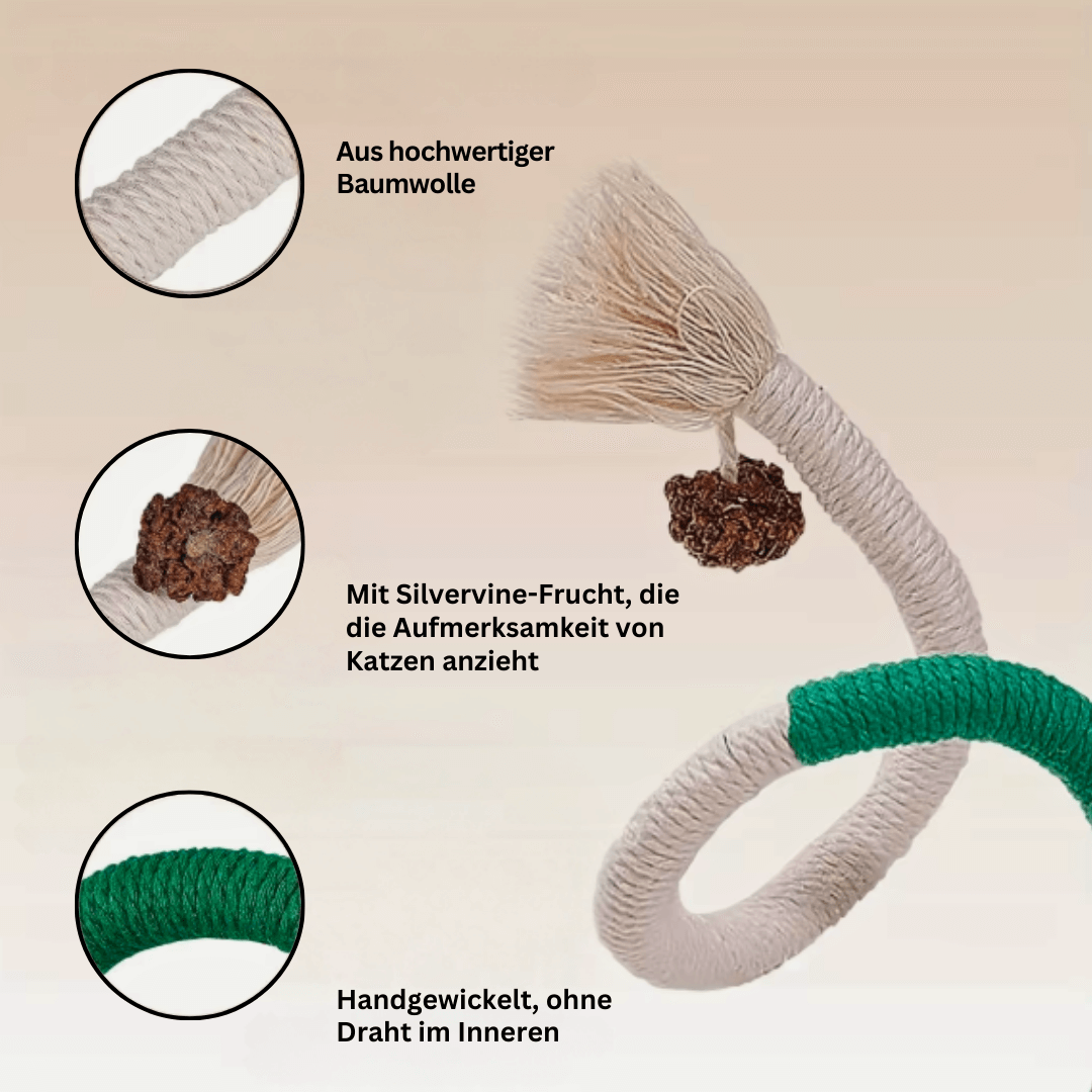 CatDentClean – Zahnpflege auf spielerische Art
