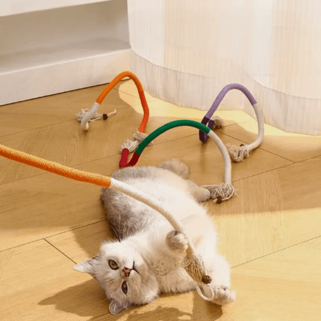 CatDentClean – Zahnpflege auf spielerische Art