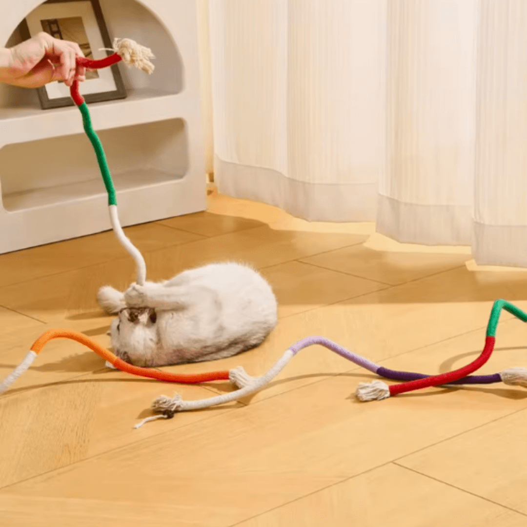 CatDentClean – Zahnpflege auf spielerische Art