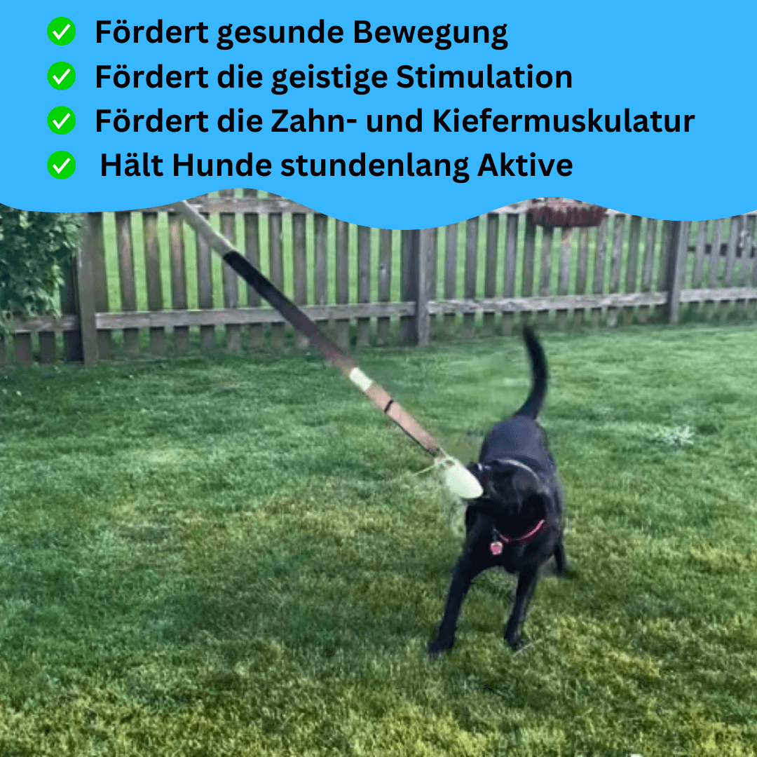 PowerZug – Interaktives Ziehen & Auspowern