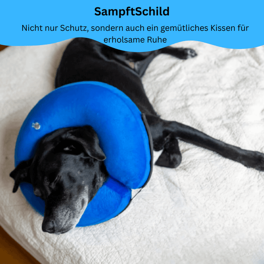 SanftSchild – Sanfter Schutz nach der OP