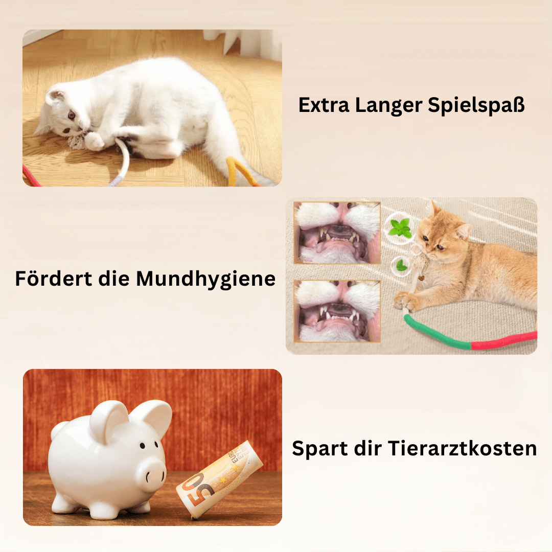 CatDentClean – Zahnpflege auf spielerische Art